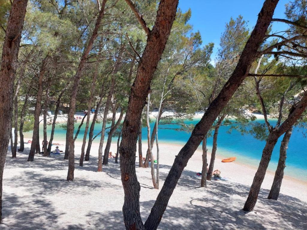 Luxury Mobile Home Pretty Green - Premium - Oaza Mira Resort -50 M From The Beach Драге Екстер'єр фото